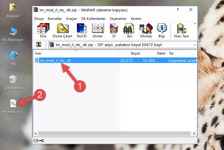 Uygulama ana klasörüne Im_mod_rl_rle_.dll dosyasını yapıştırma
