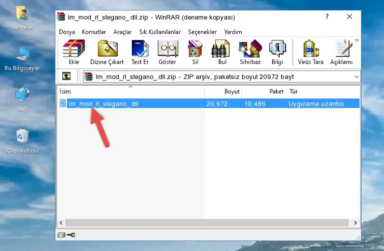 Im_mod_rl_stegano_.dll kütüphanesini uygulamanın ana klasörüne kopyalama