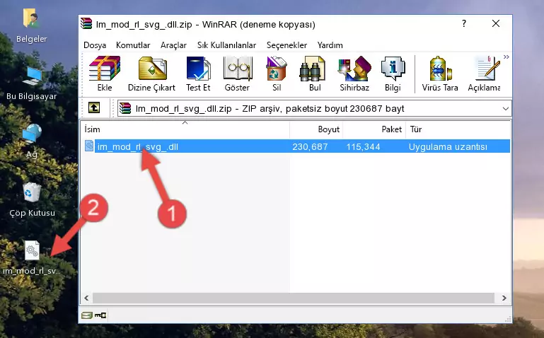 Im_mod_rl_svg_.dll kütüphanesini uygulamanın ana klasörüne kopyalama