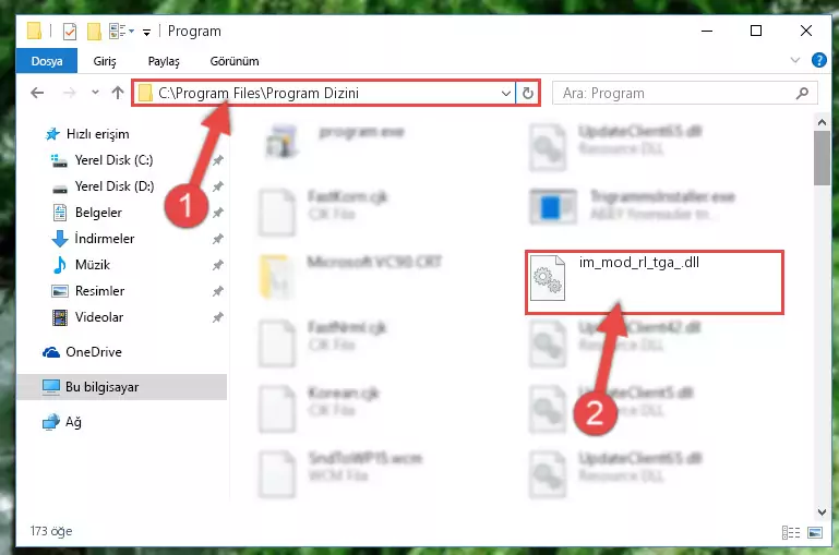 Im_mod_rl_tga_.dll dosyasının bozuk kaydını Windows Kayıt Defterinden kaldırma (64 Bit için)