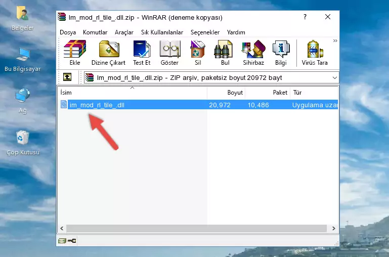 Uygulama ana klasörüne Im_mod_rl_tile_.dll dosyasını yapıştırma