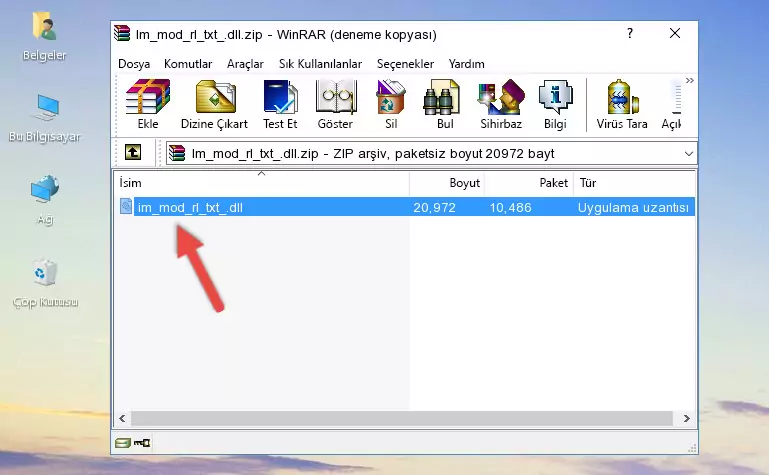 Uygulama ana klasörüne Im_mod_rl_txt_.dll dosyasını yapıştırma