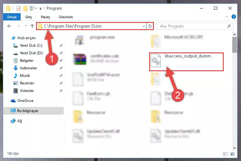 Libaccess_output_dummy_plugin.dll kütüphanesini seçili hale getirme