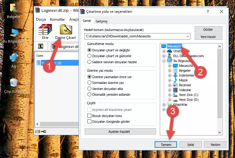 Loginsvr.dll dosyasını Windows/System32 dizinine kopyalama