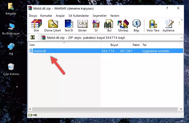 Program kurulum dizinine Mslid.dll dosyasını kopyalama.