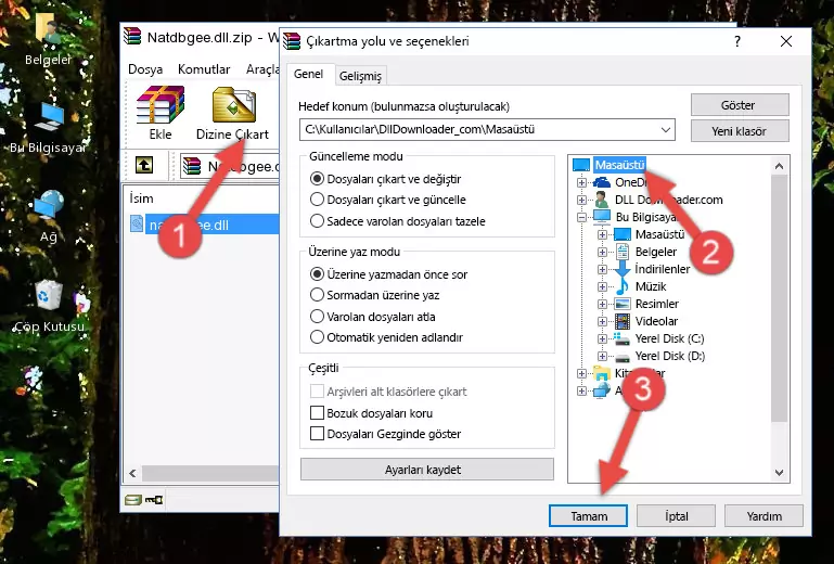 Natdbgee.dll dosyasını Windows/System32 dizinine kopyalama