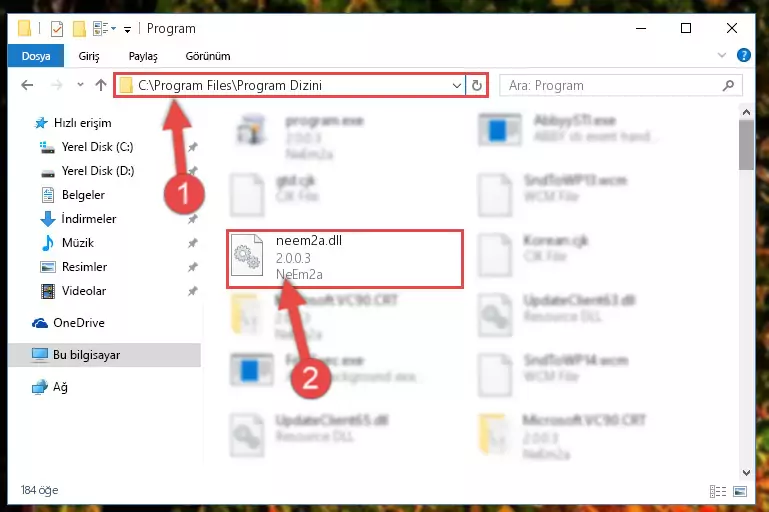 Neem2a.dll dosyasının bozuk kaydını Windows Kayıt Defterinden kaldırma (64 Bit için)