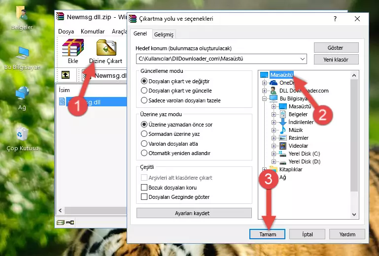 Newmsg.dll dosyasını Windows/System32 dizinine kopyalama