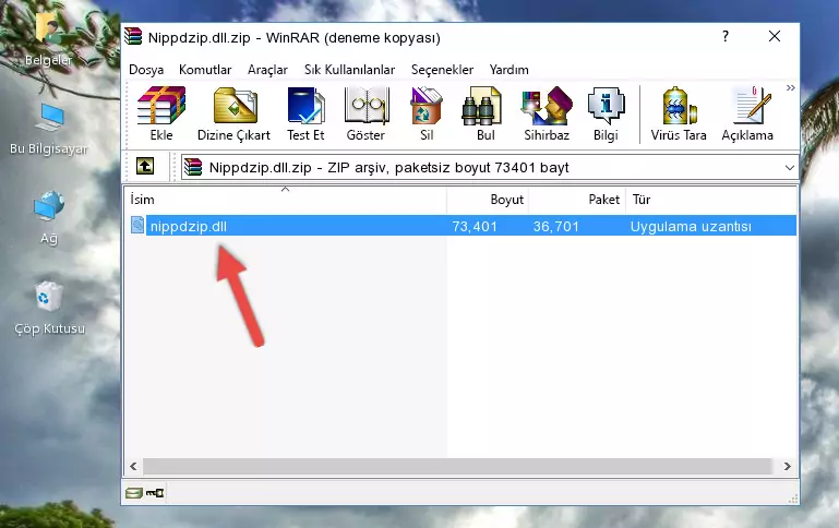 Nippdzip.dll dosyasını programın kurulum dizinine kopyalama