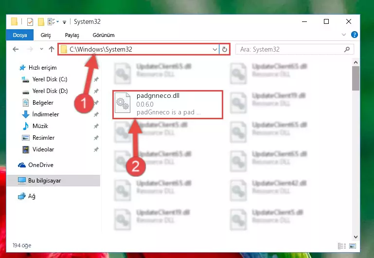 Padgnneco.dll dosyasını Windows/System32 dizinine kopyalama