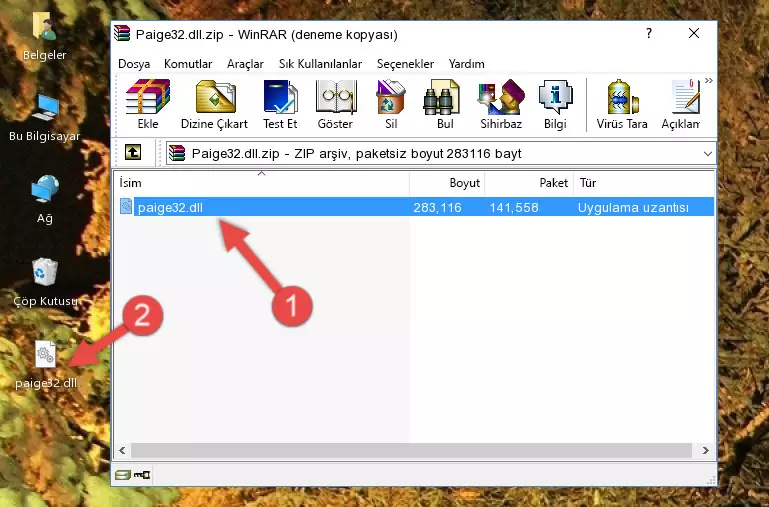 Program kurulum dizinine Paige32.dll dosyasını kopyalama.