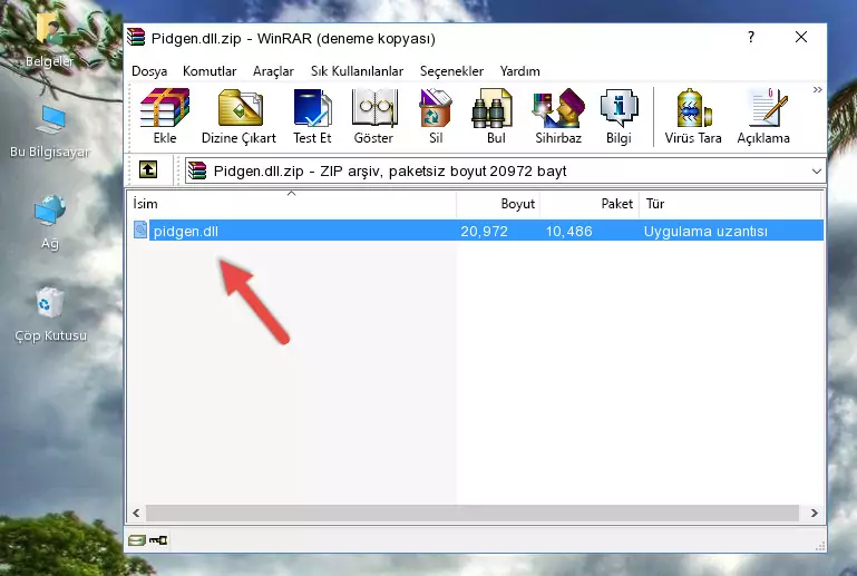 Pidgen.dll dosyasını programın kurulum dizinine kopyalama