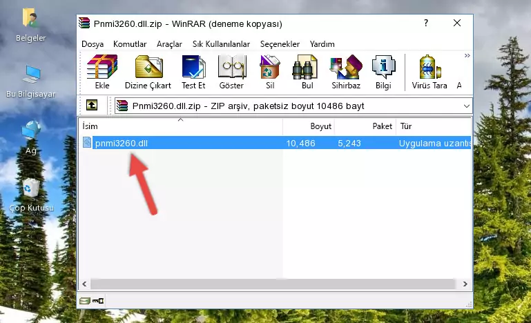 Pnmi3260.dll dosyasını programın kurulum dizinine kopyalama