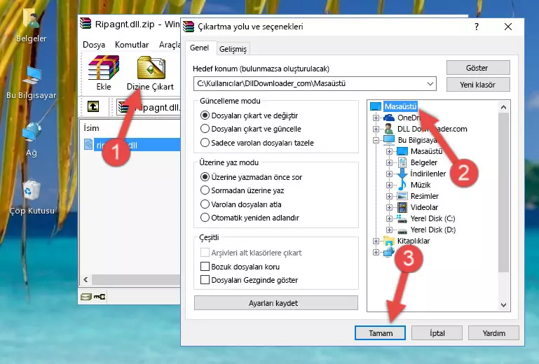 Ripagnt.dll dosyasını Windows/System32 dizinine kopyalama