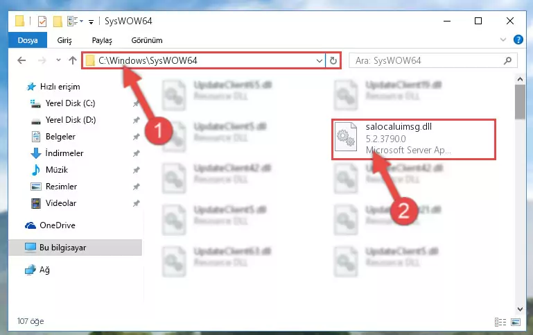 Salocaluimsg.dll dosyasını Windows/sysWOW64 dizinine yapıştırma