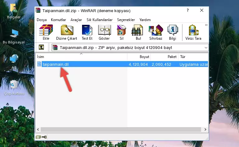 Taipanmain.dll dosyasını programın kurulum dizinine kopyalama