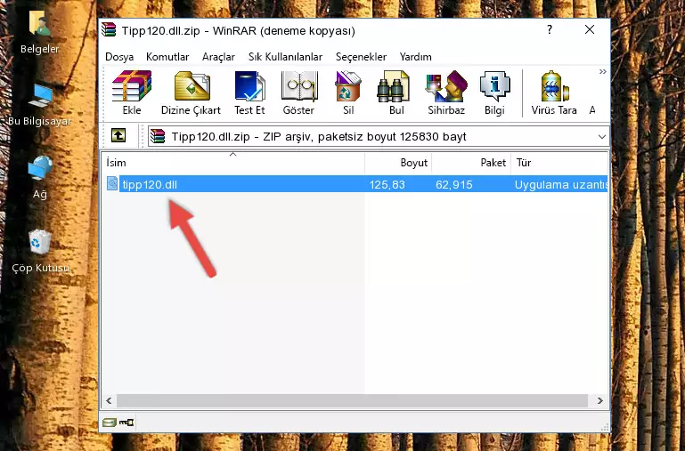 Tipp120.dll dosyasını programın kurulum dizinine kopyalama