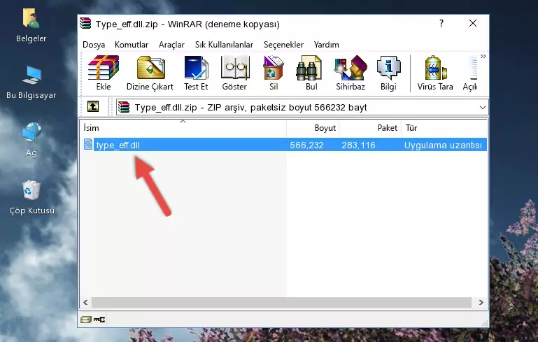 Program kurulum dizinine Type_eff.dll dosyasını kopyalama.