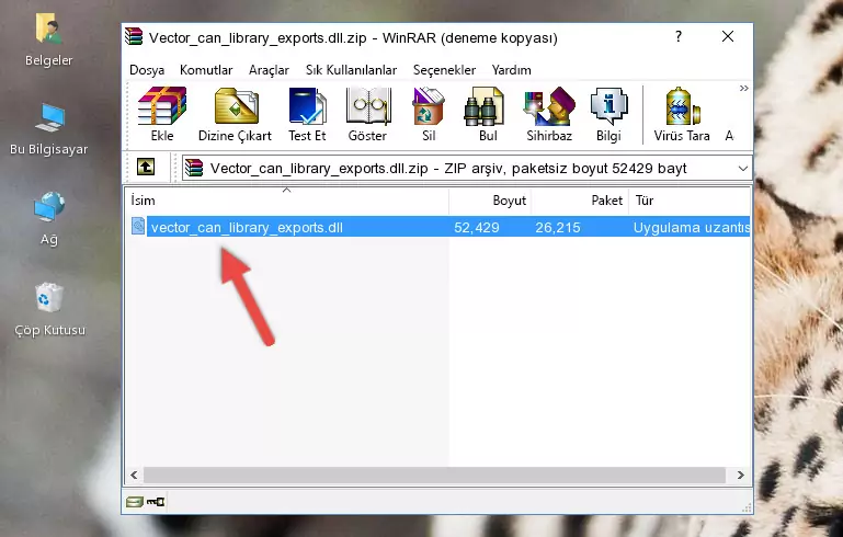 Uygulama ana klasörüne Vector_can_library_exports.dll dosyasını yapıştırma
