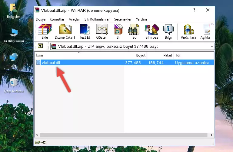 Vlabout.dll dosyasını programın kurulum dizinine kopyalama