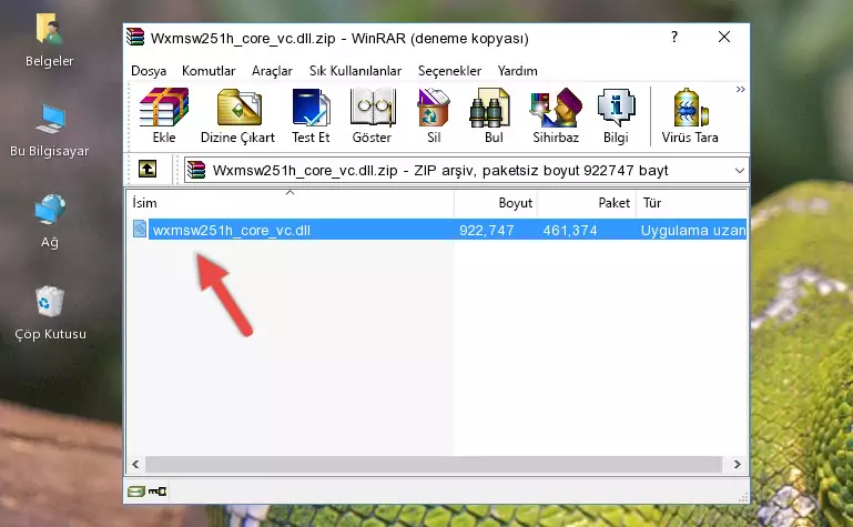 Wxmsw251h_core_vc.dll kütüphanesini uygulamanın ana klasörüne kopyalama